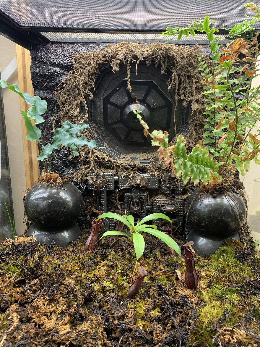 I Visited Texas Triffid Ranch: Dallas’s Carnivorous Plant Gallery (14 Pics)