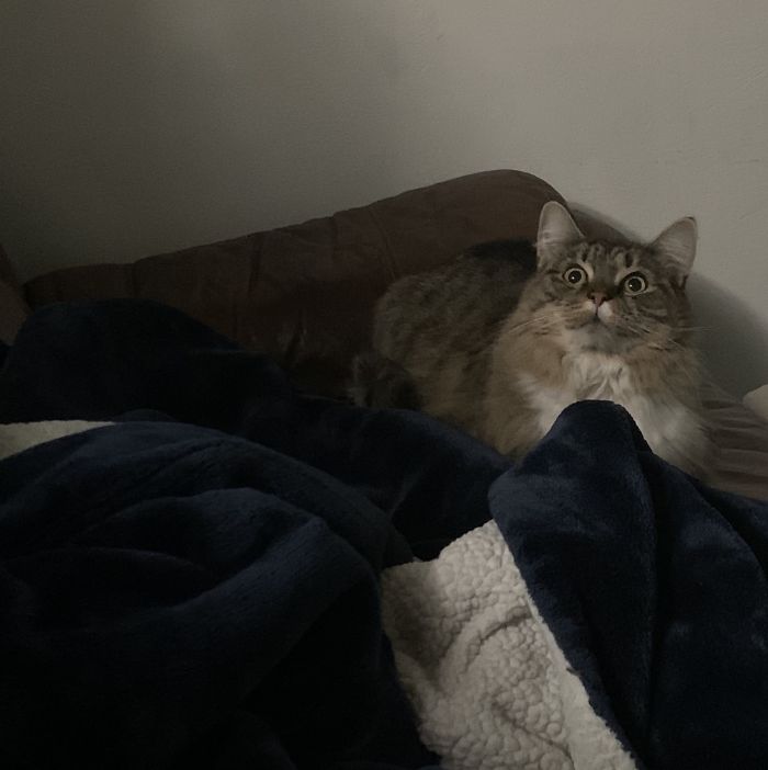 My Little Fifi Mcgee On Her First Full Night Inside