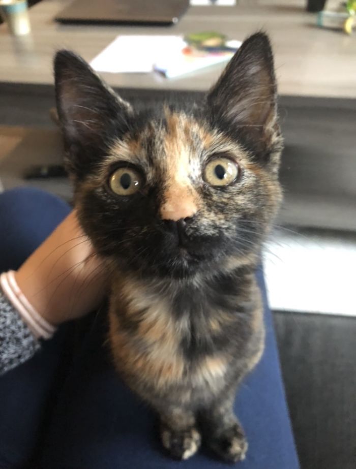 Little Gary, One Day After We Adopted Her. I Think She Likes Me.