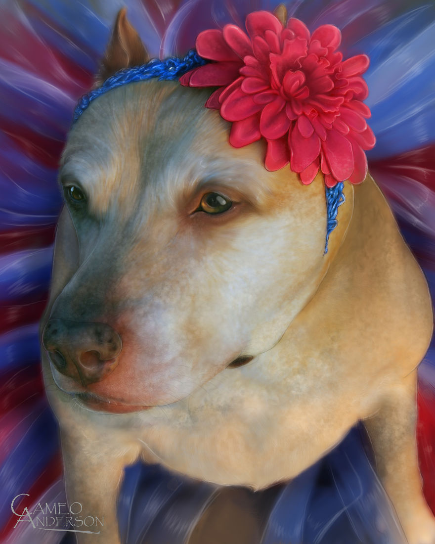 Gladys Was Rescued From A Puppy Mill Where She Had Been Abused. Before She Died, She Got To Know What It Feels Like To Be Treated Like The Princess She Is