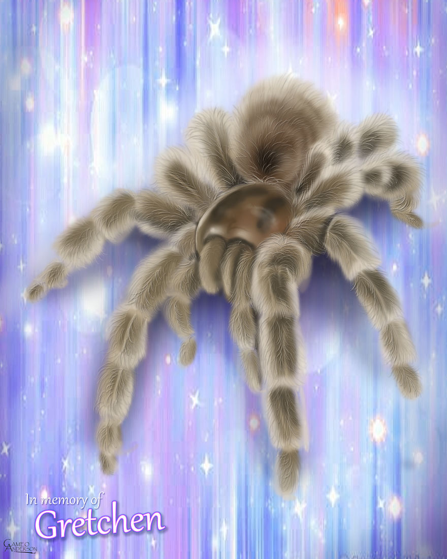 Gretchen Passed Away Years Before She Should Have Thanks To An Incorrect Molt