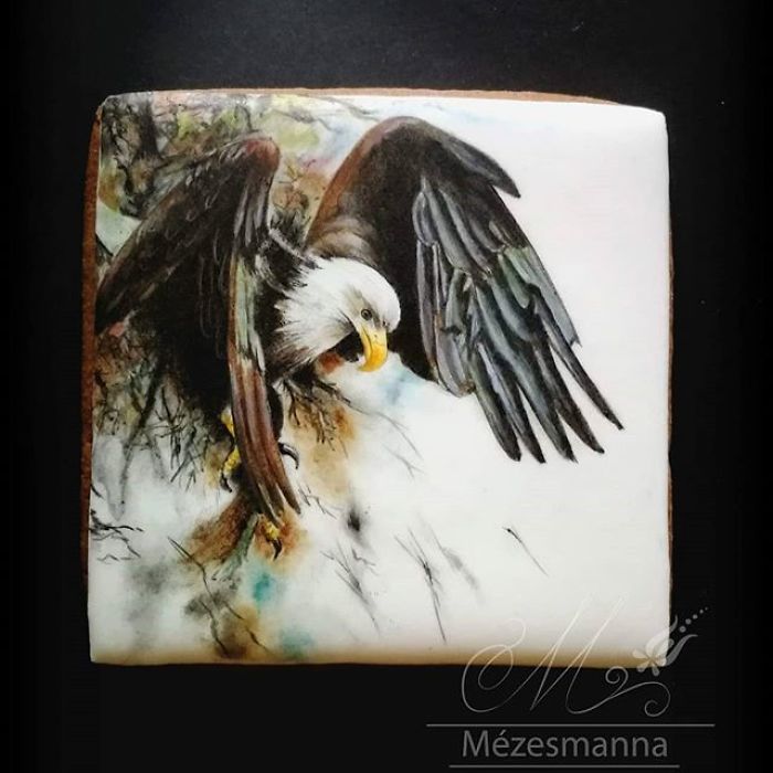 Hungarian Chef Turns Cookies Into Works Of Art; And Your Pet Can Be Honored In One Of Them