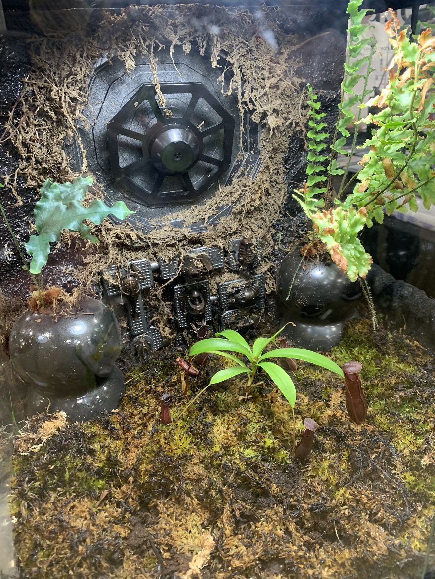 I Visited Texas Triffid Ranch: Dallas’s Carnivorous Plant Gallery (14 Pics)