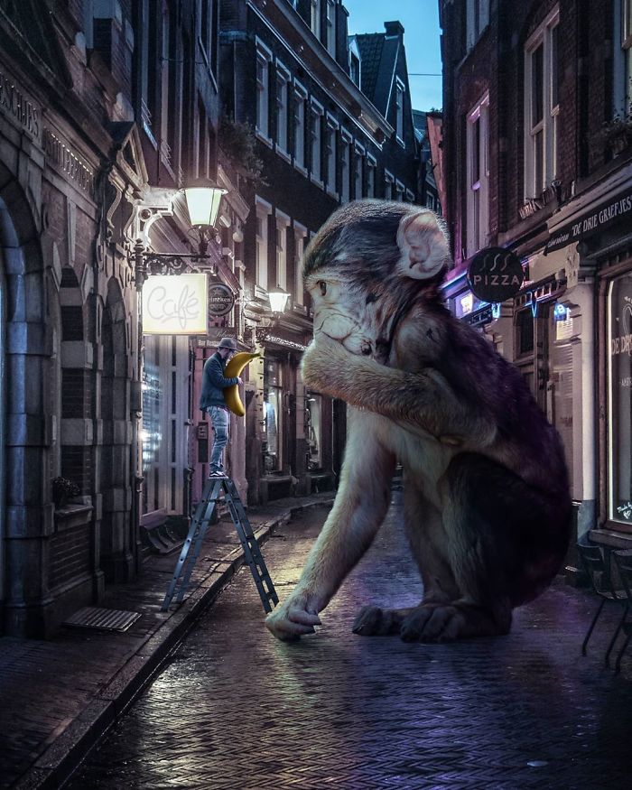 An Animal's Eyes Have The Power To Speak A Great Language