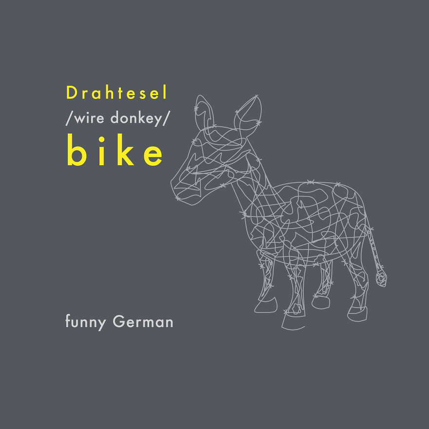 Animals Indeed Have A Special Place In The German Language!