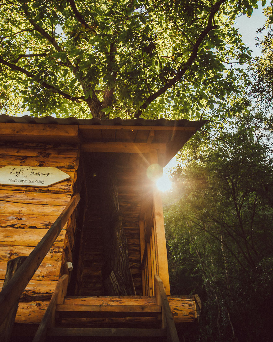 I Just Visited This Tree House Loft In Romania (27 Pics) I Just Visited This Tree House Loft In Romania (27 Pics)