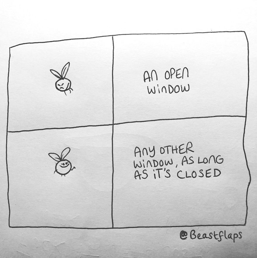 I Turned My 100 Bug Doodles Into A Book