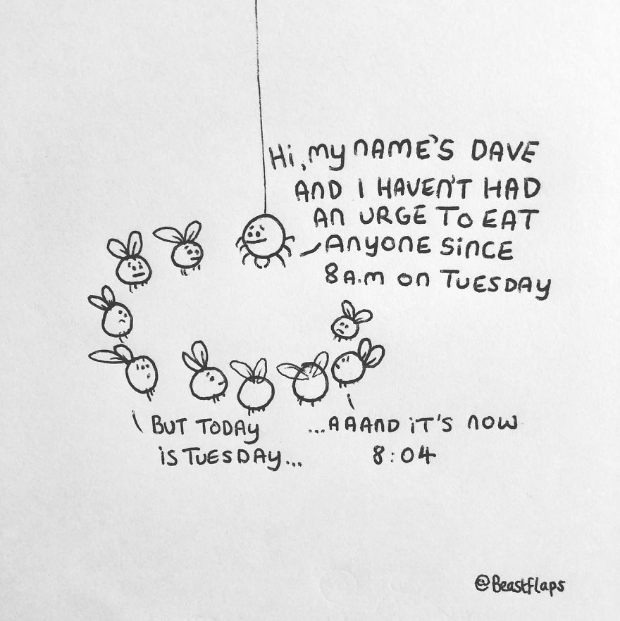 I Turned My 100 Bug Doodles Into A Book