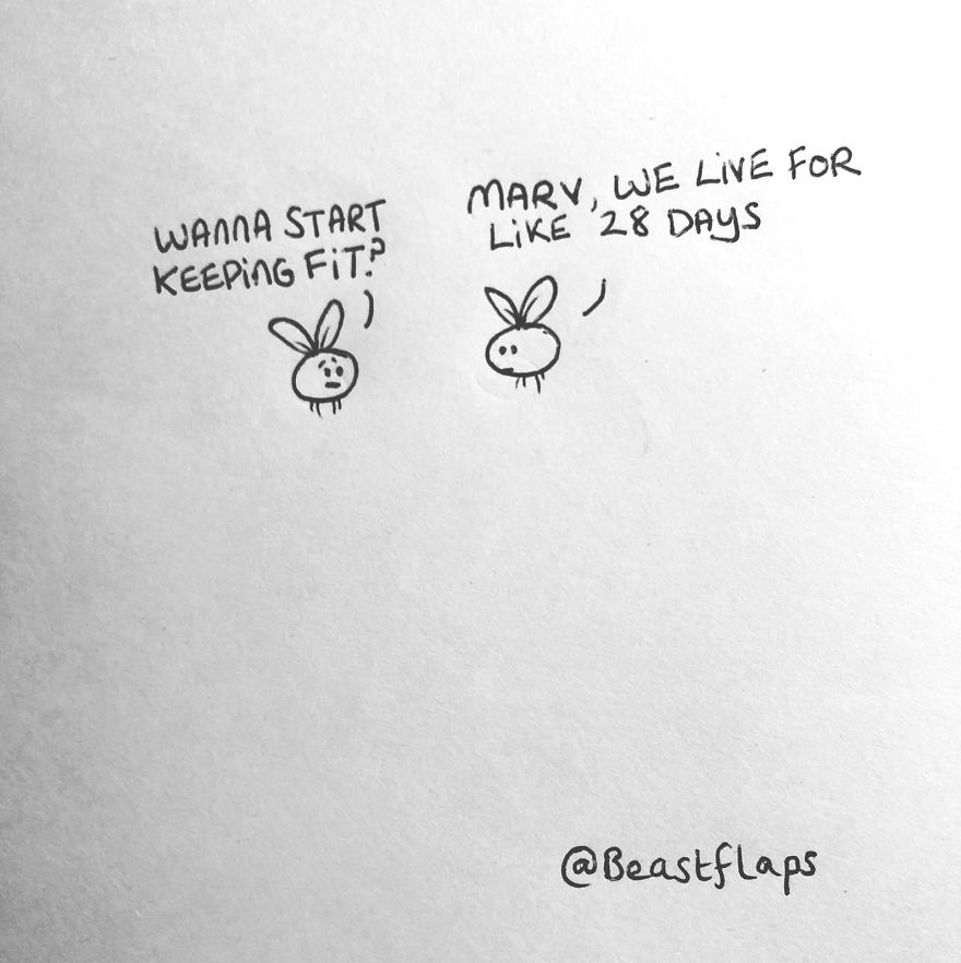 I Turned My 100 Bug Doodles Into A Book