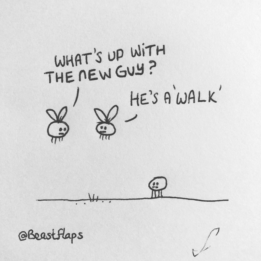 I Turned My 100 Bug Doodles Into A Book