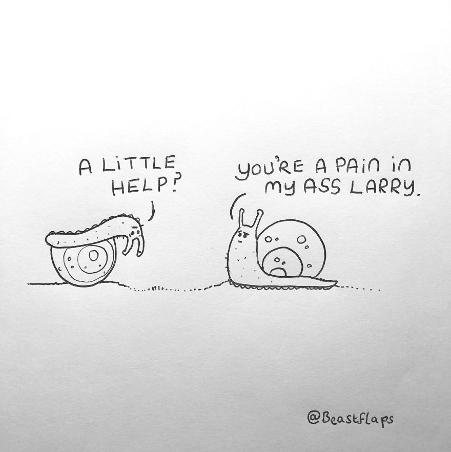 I Turned My 100 Bug Doodles Into A Book