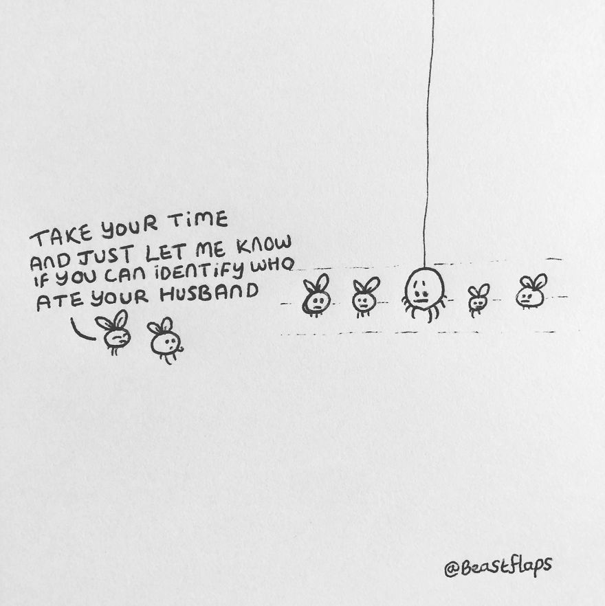 I Turned My 100 Bug Doodles Into A Book