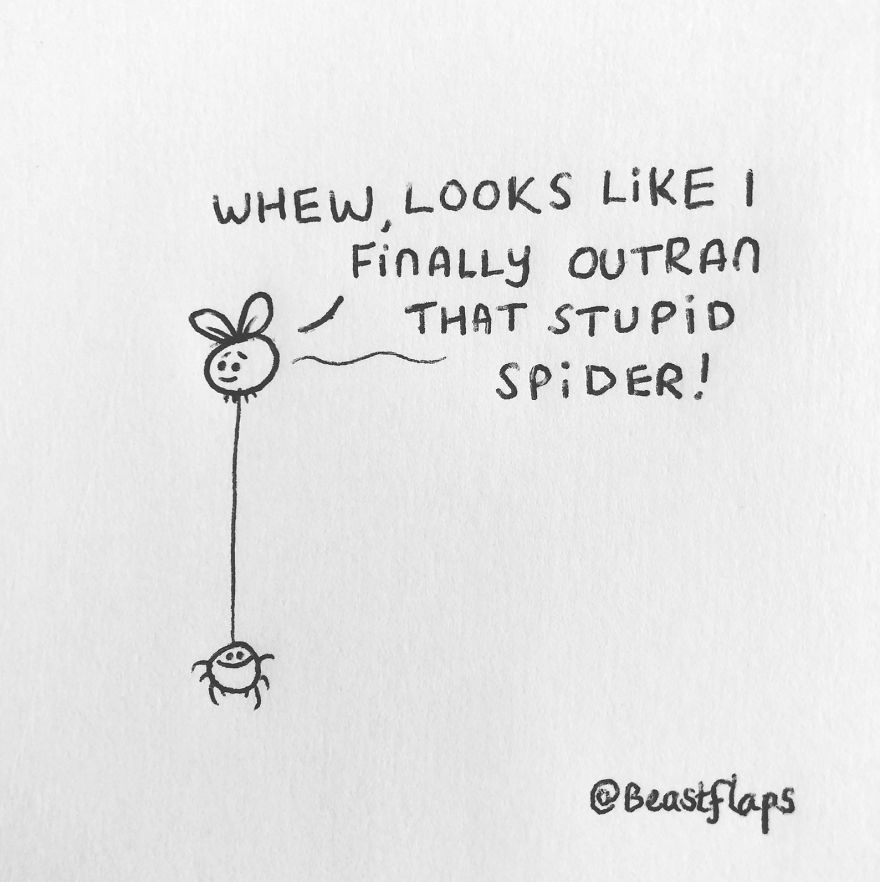 I Turned My 100 Bug Doodles Into A Book