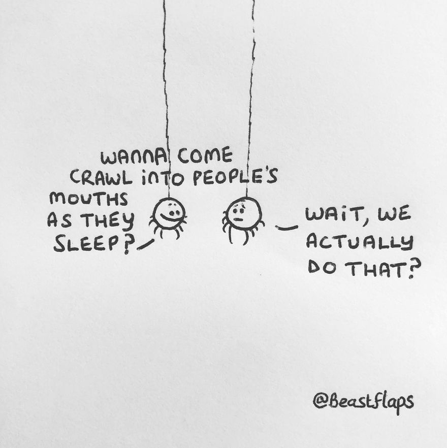 I Turned My 100 Bug Doodles Into A Book