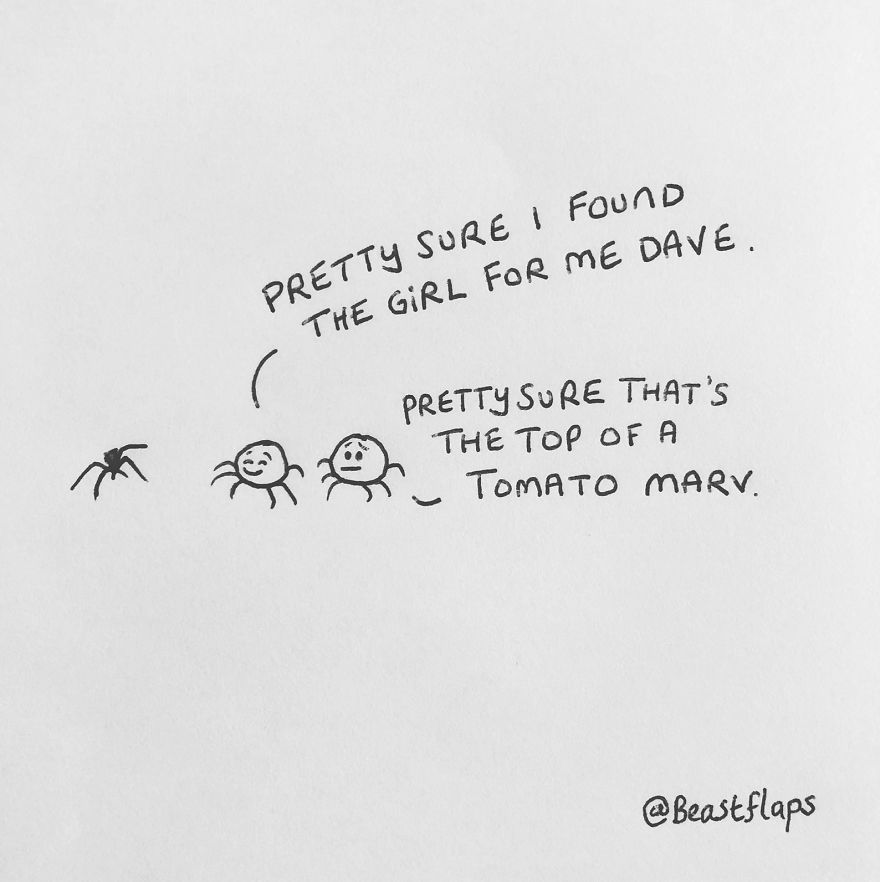 I Turned My 100 Bug Doodles Into A Book