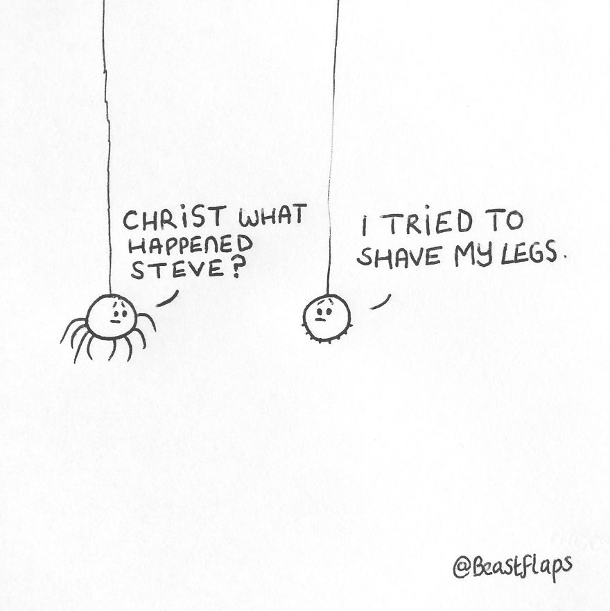 I Turned My 100 Bug Doodles Into A Book