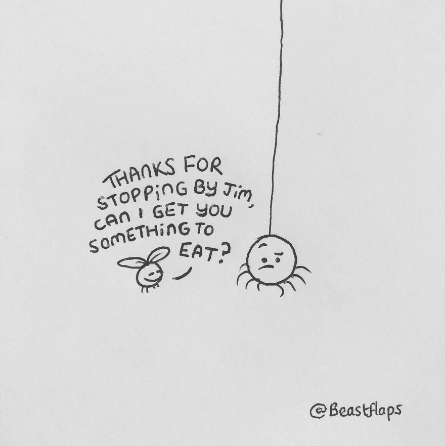 I Turned My 100 Bug Doodles Into A Book