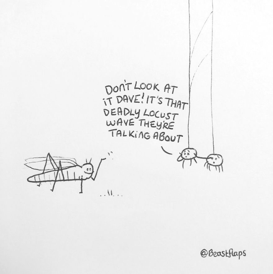 I Turned My 100 Bug Doodles Into A Book