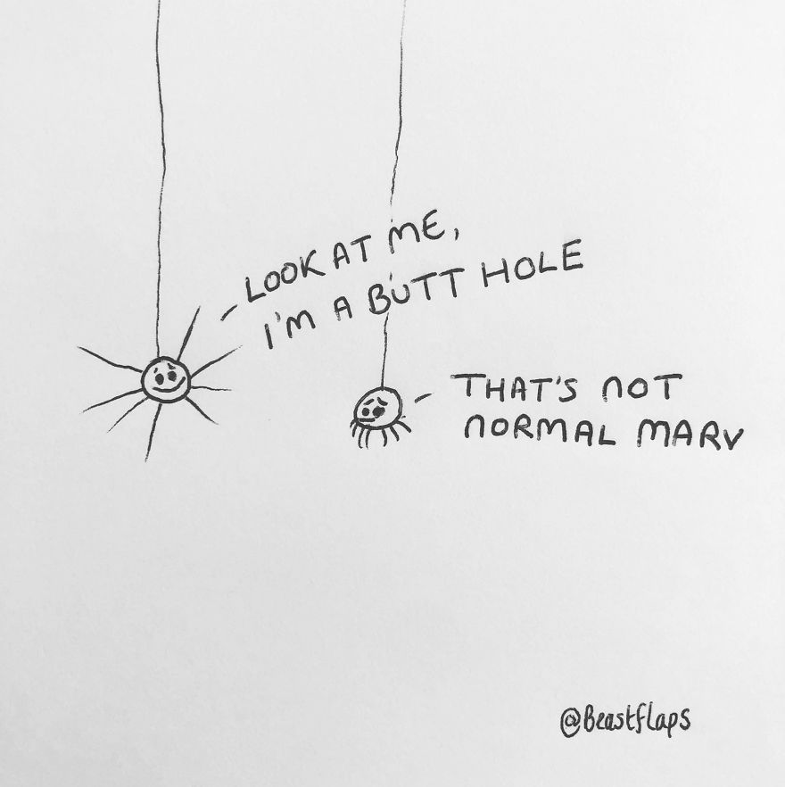 I Turned My 100 Bug Doodles Into A Book