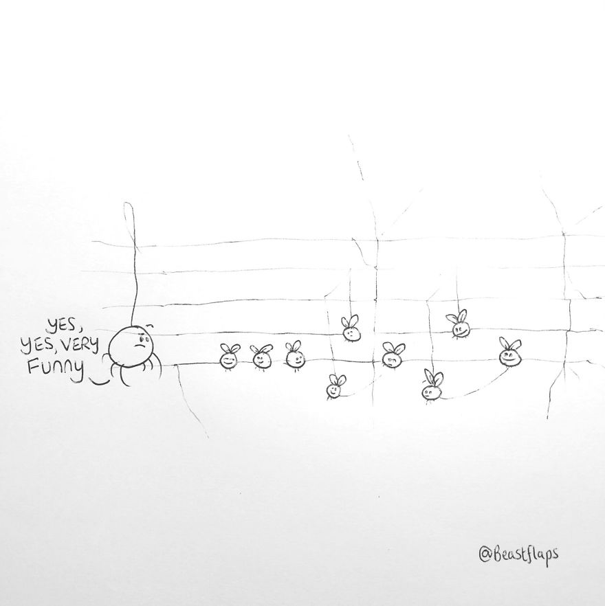 I Turned My 100 Bug Doodles Into A Book