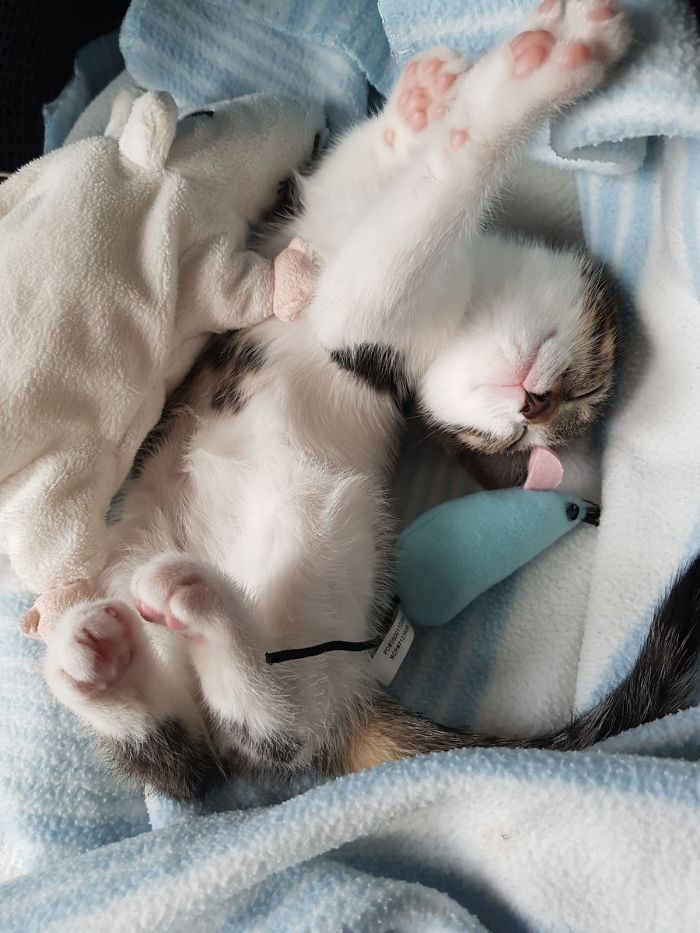 Our Boy Flynn, The Day We Brought Him Home