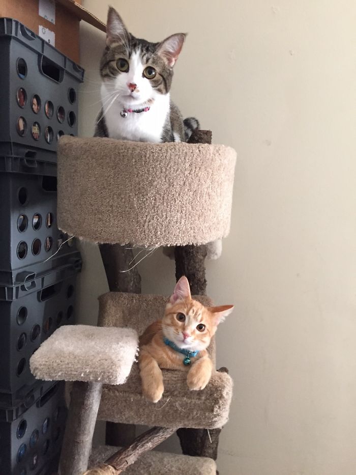 Two For The Price Of One!