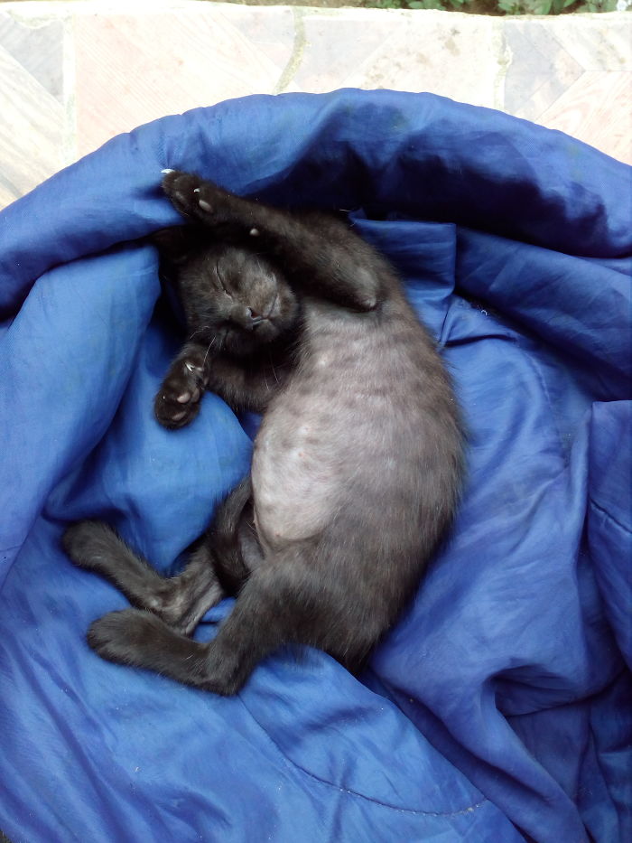 First Time Getting Comfy