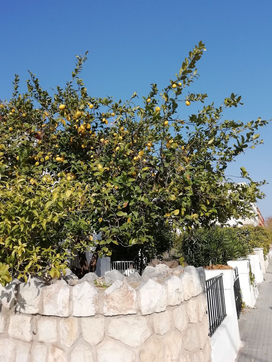 Salou, Sea, Spring. Part I Salou, Sea, Spring. Part I