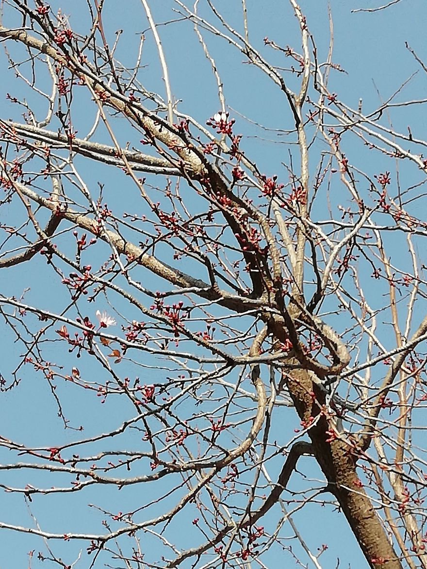 Salou, Sea, Spring. Part I Salou, Sea, Spring. Part I