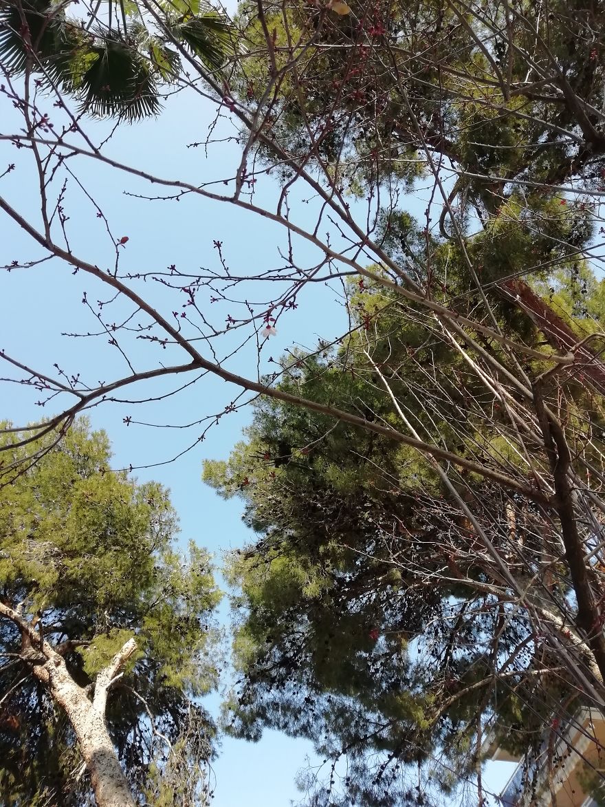 Salou, Sea, Spring. Part I