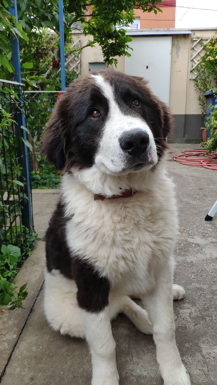 Arya, Eater Of Houses...