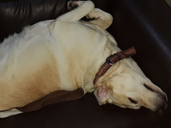 Imma Tired Mommy Let Me Rest! Cutie Maaya