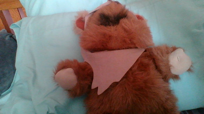 Wicket E Warrick. Star Wars Fans Get This One...