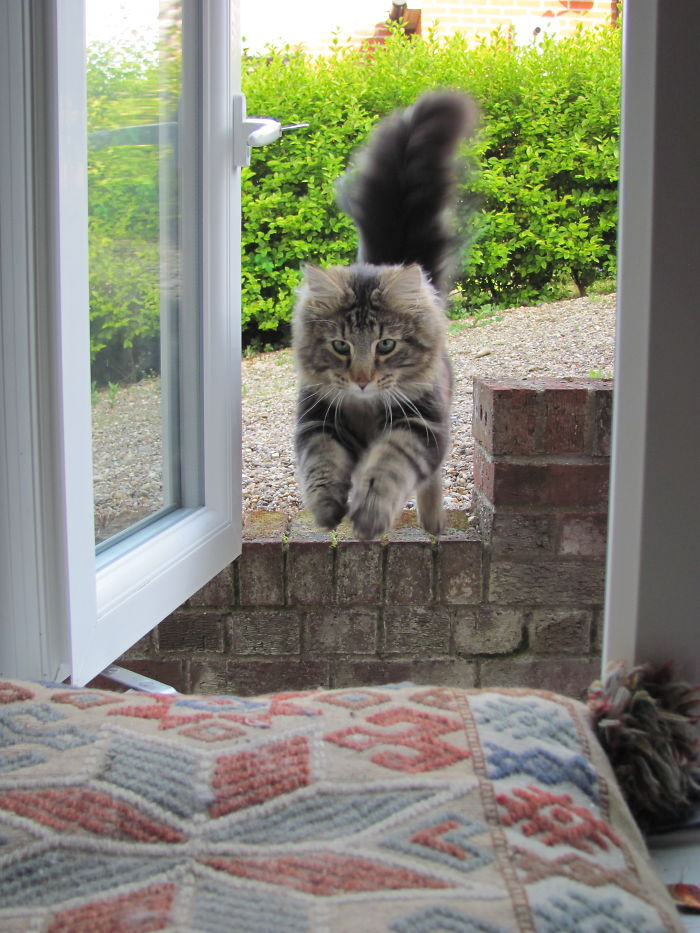 My Boy John. Gone Now, But Still Much Loved.