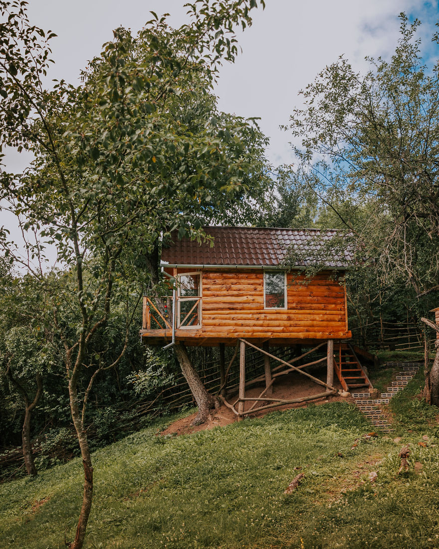 I Just Visited This Tree House Loft In Romania (27 Pics)