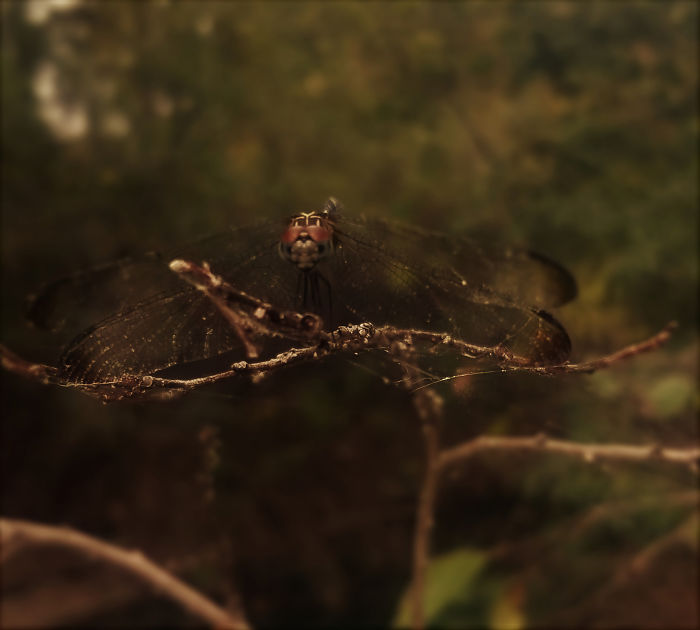 I'm A 16-Year-Old Photographer, And I View The World Through Photos