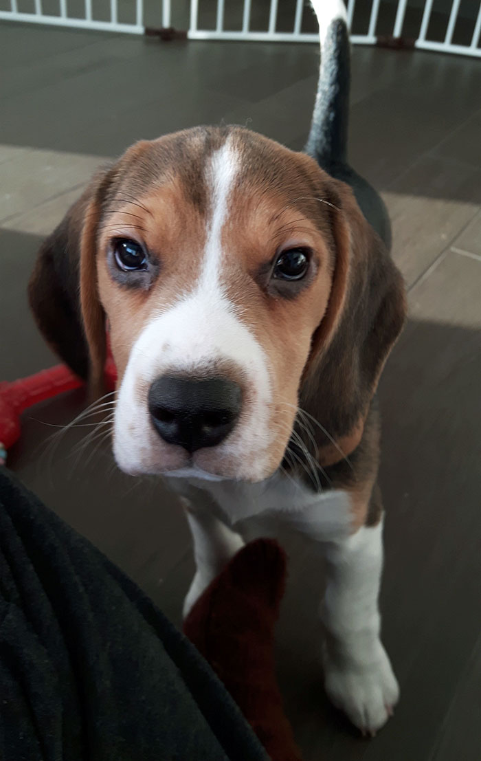 Šyra Had Something Very Serious To Talk About