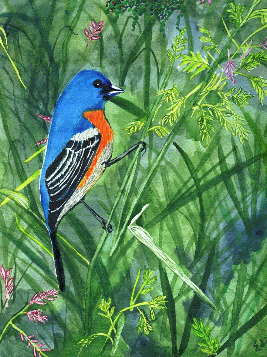 I've Spent My Whole Life Painting Whenever I Had A Chance. These Are The Ones I Like Most.