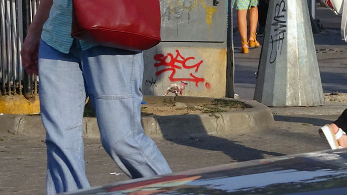 My Wildlife Collage Animation Project 'Kaybid' (24 Pics) My Wildlife Collage Animation Project 'Kaybid' (24 Pics)