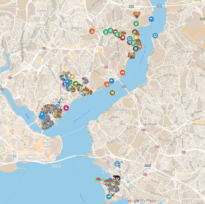 My Wildlife Collage Animation Project 'Kaybid' (24 Pics) My Wildlife Collage Animation Project 'Kaybid' (24 Pics)