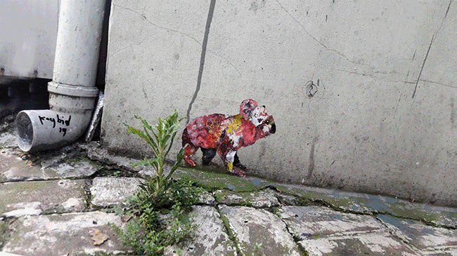 My Wildlife Collage Animation Project 'Kaybid' (24 Pics)