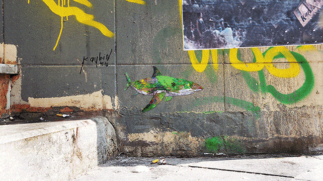 My Wildlife Collage Animation Project 'Kaybid' (24 Pics)