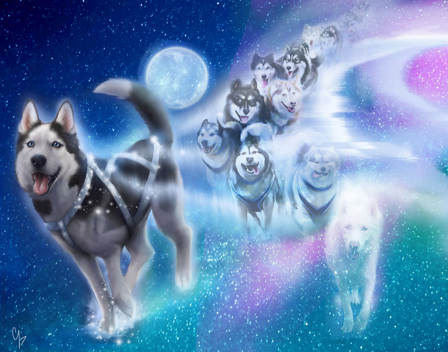 There Is A Legend Saying The Colors Of The Northern Lights Are Made When Husky Spirits Race Across The Night Sky Where It's Cool And The Moonlight Glints Off Their Fur And Their Silver Harnesses
