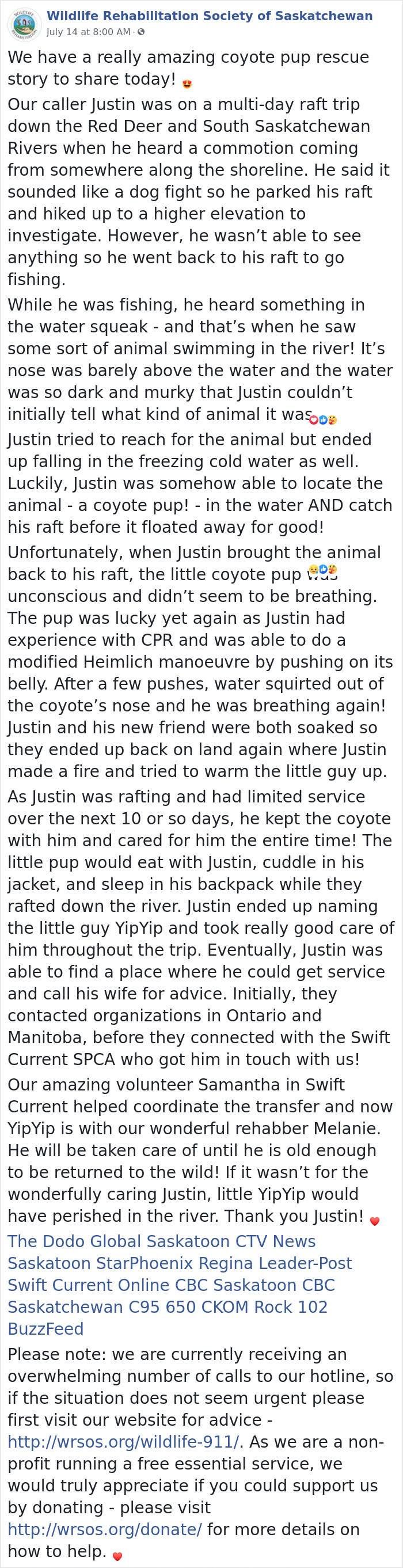 Canadian Saves Coyote Pup From Drowning And Lets Him Tag Along For A 10-Day Raft Ride Canadian Saves Coyote Pup From Drowning And Lets Him Tag Along For A 10-Day Raft Ride