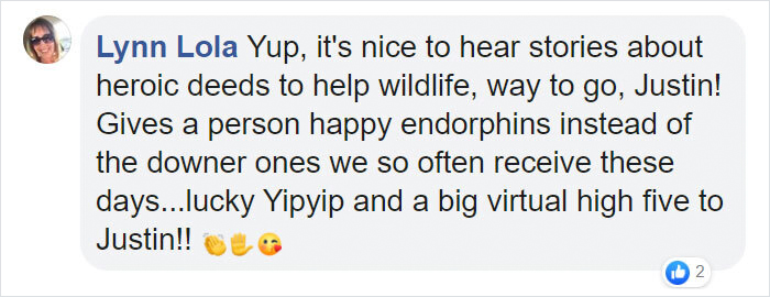 Canadian Saves Coyote Pup From Drowning And Lets Him Tag Along For A 10-Day Raft Ride Canadian Saves Coyote Pup From Drowning And Lets Him Tag Along For A 10-Day Raft Ride