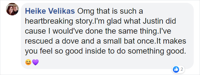 Canadian Saves Coyote Pup From Drowning And Lets Him Tag Along For A 10-Day Raft Ride Canadian Saves Coyote Pup From Drowning And Lets Him Tag Along For A 10-Day Raft Ride