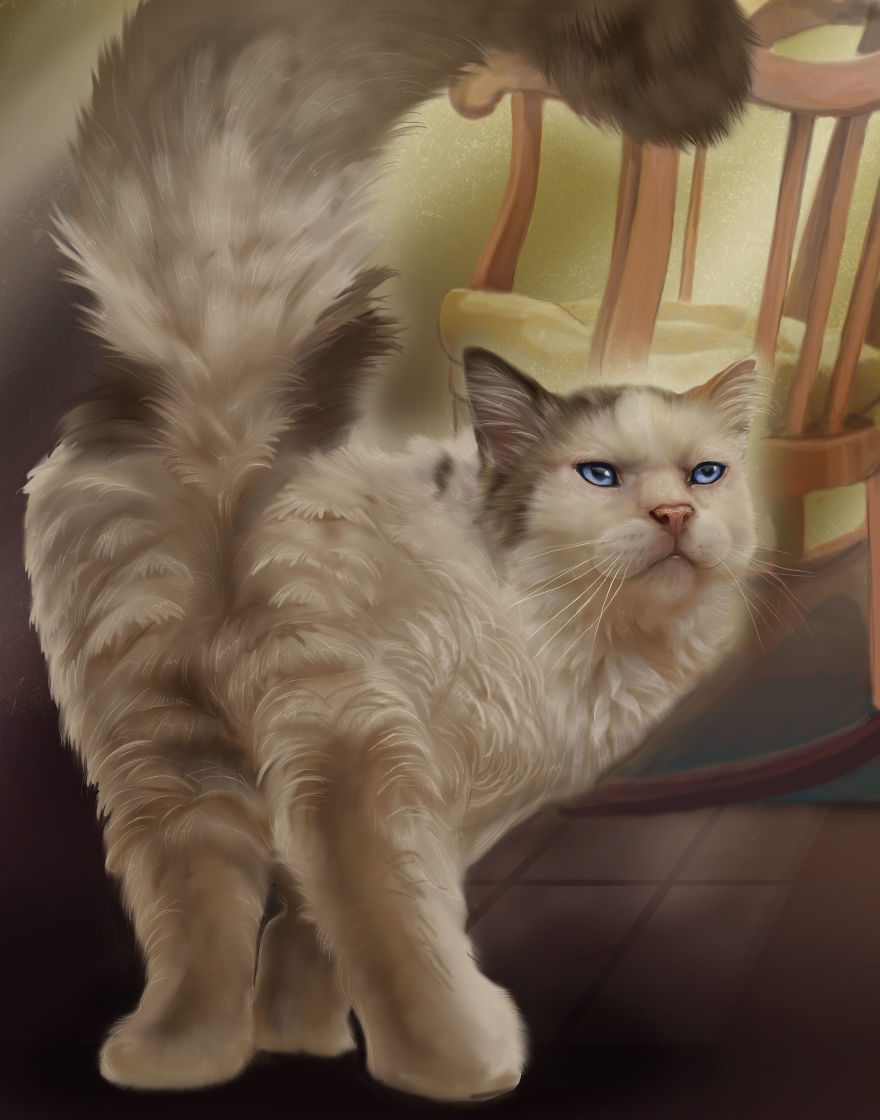 This Kitty Loves Rays Of Sunshine And Antique Rockers As Much As The Next Guy