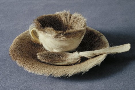 Meret-Oppenheim-Object-469x311-5f2087241b053.jpg