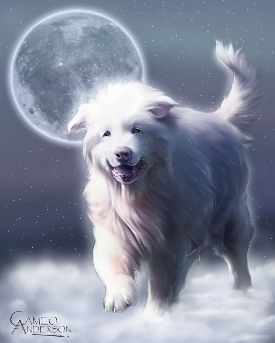 What Does Heaven Look Like To You? In This Case, It's A Patch Of Clouds In The Moonlight Made For Romping