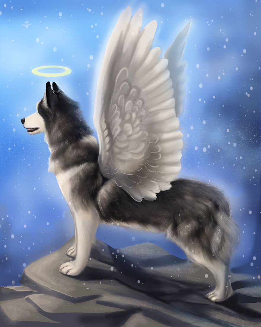 The Regal Husky Finally Got His Wings